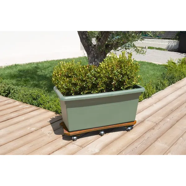 Roule plante Bois spécial bac naturel - 30x70 cm - Bois - Louis Moulin