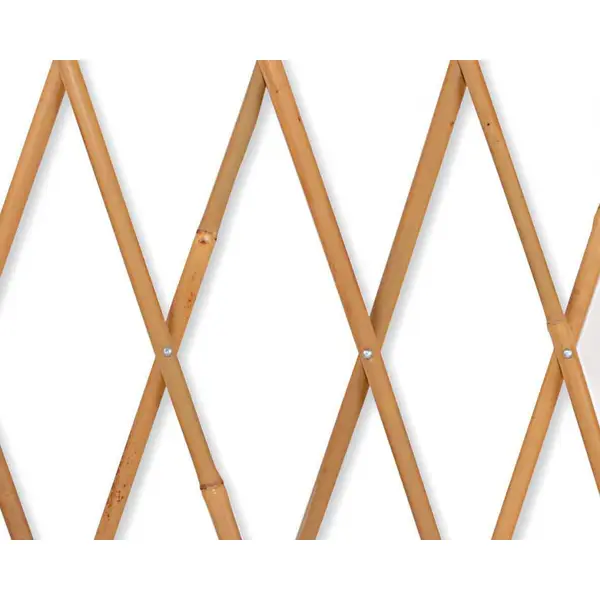 Treillage extensible droit en bois JANY TRADITION, l.200 x H.100 x P.3 cm - Jany
