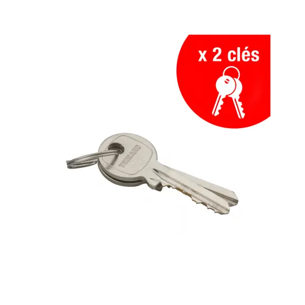 Cadenas à clé, extérieur, 40mm, protecteur d'anse épaulé, 2 clés acier nickelé - THIRARD