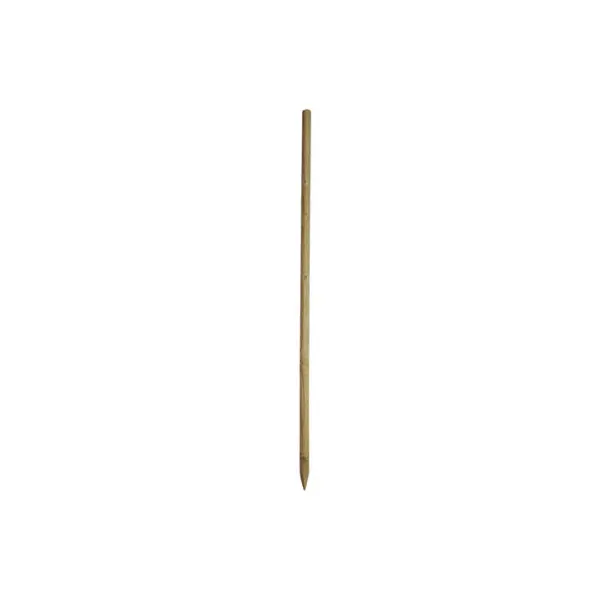 Piquet raboté pin autoclave classe 4 - L. 2,0 m Ø 50 mm