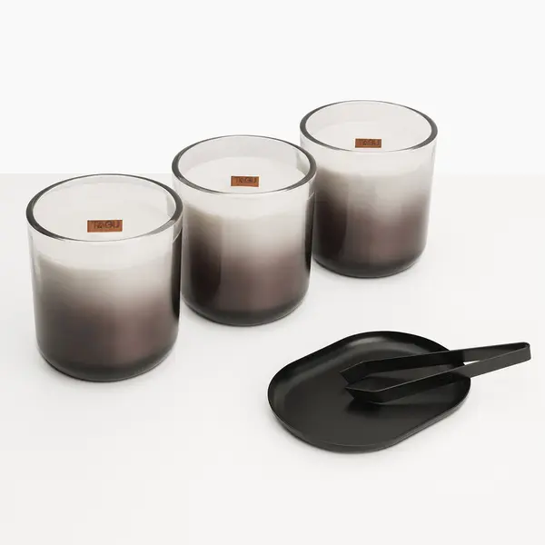 Cheminée électrique encastrable à bougies parfumées - ZenFlame - - TAGU