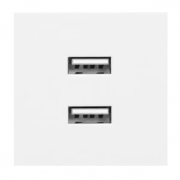 Prise double chargeur USB - 45x45 - Blanc - pour goulotte appareillable