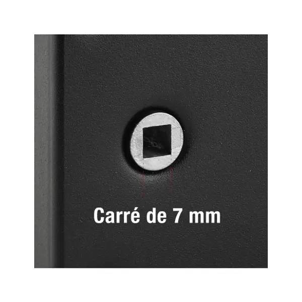 Serrure horizontale en applique 6 gorges à fouillot pour entrée, droite, axe 56mm, carré 7mm, 140x88mm, noir, 2 clés - THIRARD