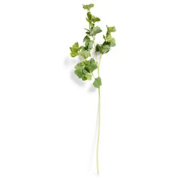 Branche déco artificielle vert ou jaune L.90cm