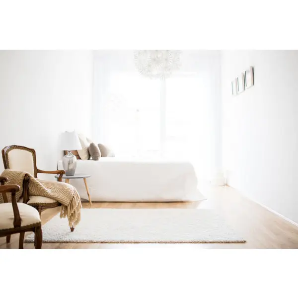 Peinture murs et plafonds monocouche blanche mat + 12