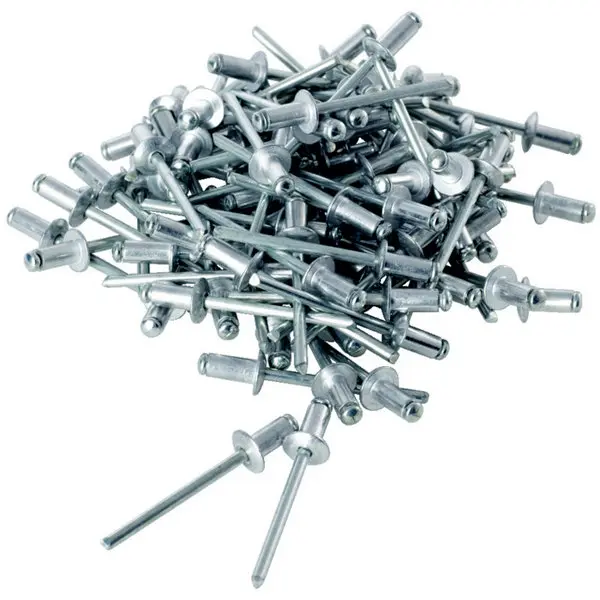 Lot de 100 rivet à tête plate 4 x 16 mm
