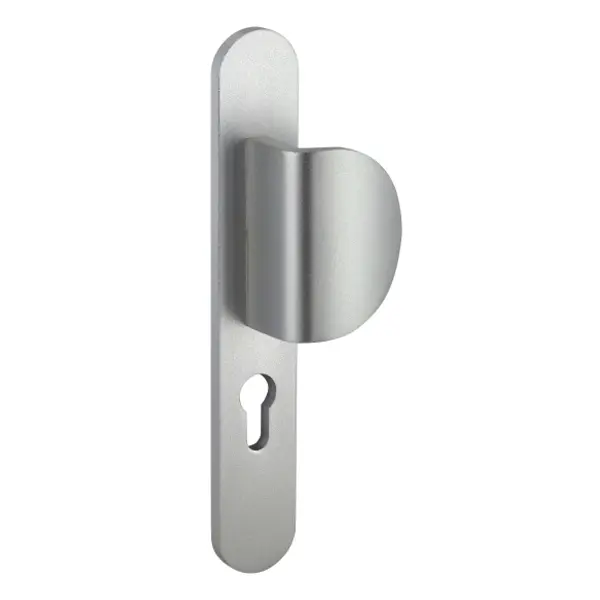 Ensemble de poignées pour porte d'entrée palière Crecy trou de cylindre, carré 7mm, entr'axes 195mm, anodisé argent - THIRARD