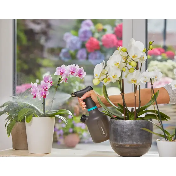 Pulvérisateur à gâchette 1L - GARDENA