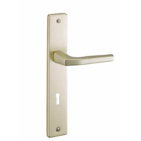 Ensemble de poignées pour porte intérieure Picardie trou de clé, carré 8mm, entr'axes 195mm, couleur champagne - THIRARD