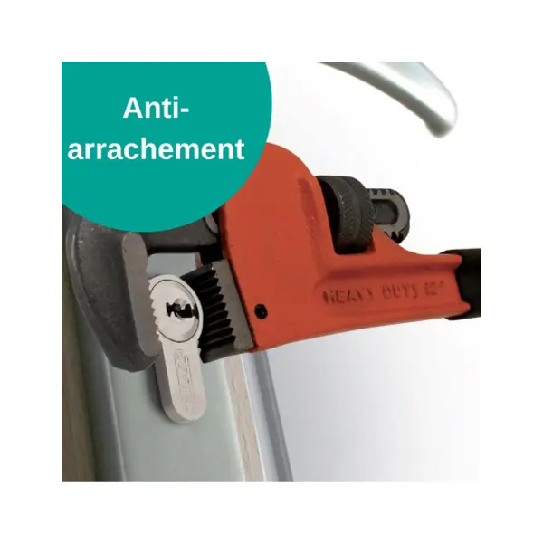 Verrou double entrée Universel pour porte d'entrée, cylindre 45mm, acier, 4 clés, epoxy noir - THIRARD