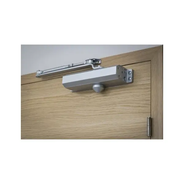 Ferme-porte automatique hydraulique force 3, argent - THIRARD