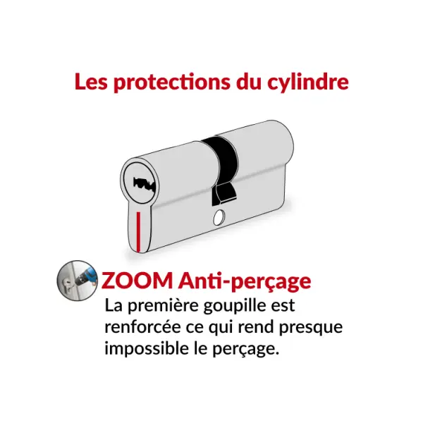 Cylindre de serrure double entrée Trafic 6, 30x70mm, nickel, anti-arrachement, anti-perçage, 5 clés - THIRARD