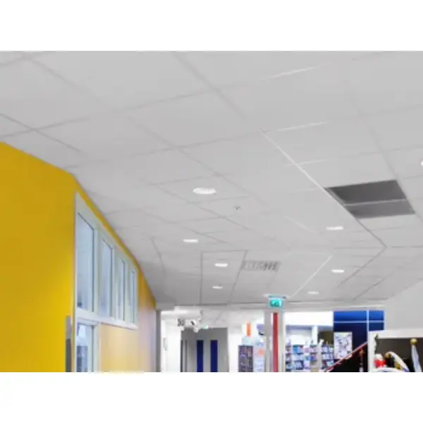 Dalle plafond Pallas- panneau 60 x 60 cm - ép. 20 mm - Blanc - Bords E15