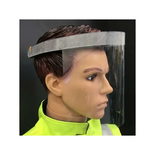 SKINPACK Lot de 10 visières transparentes TU - SKINPACKVISIEREX10