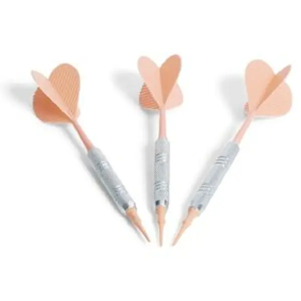 Fléchette acier plastique pointe souple x3
