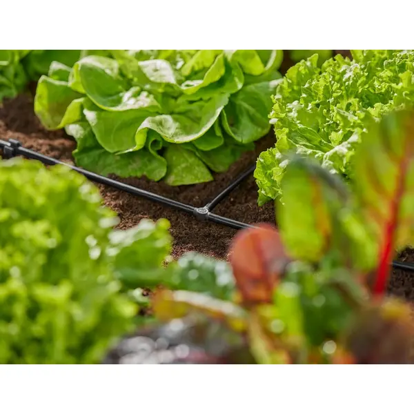 Dérivations en T pour tuyau à goutteurs incorporés 4,6 mm - Boîte de 5 pièces - GARDENA