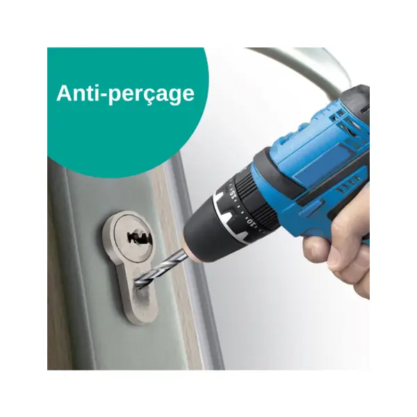 Verrou double entrée Universel pour porte d'entrée, cylindre 45mm, acier, 4 clés, epoxy argent - THIRARD