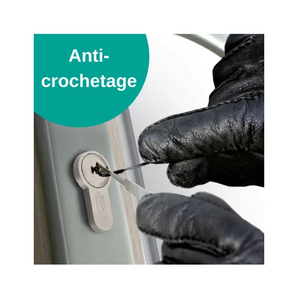 Verrou double entrée Universel pour porte d'entrée, cylindre 45mm, acier, 4 clés, epoxy argent - THIRARD