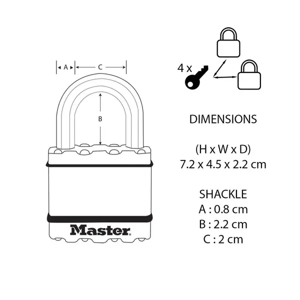 Lot de 2 cadenas à clé en acier laminé, MASTER LOCK, l.45 mm - MASTER LOCK