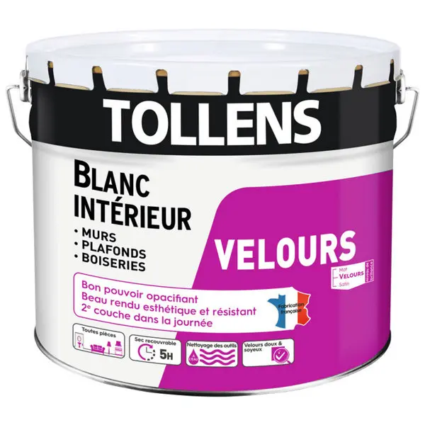 Peinture bicouche murs, plafonds et boiseries intérieure acrylique velours blanc 10 L