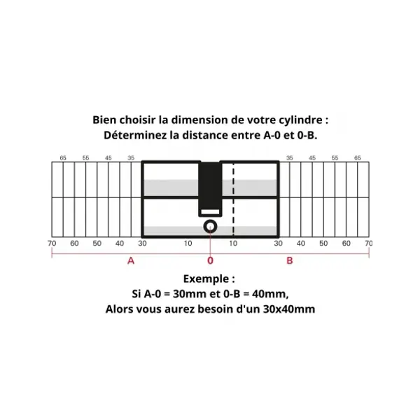 Cylindre de serrure double entrée Trafic 6, 30x70mm, nickel, anti-arrachement, anti-perçage, 5 clés - THIRARD