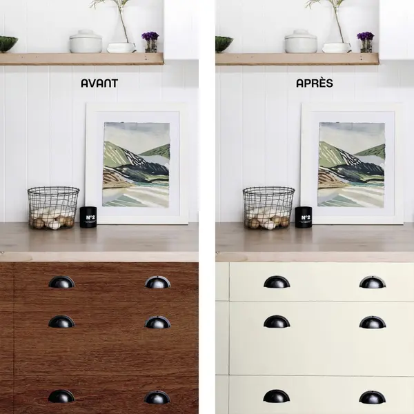 Peinture pour meuble Relook Maison Deco blanc bouleau satiné 0.2L - MAISON DECO