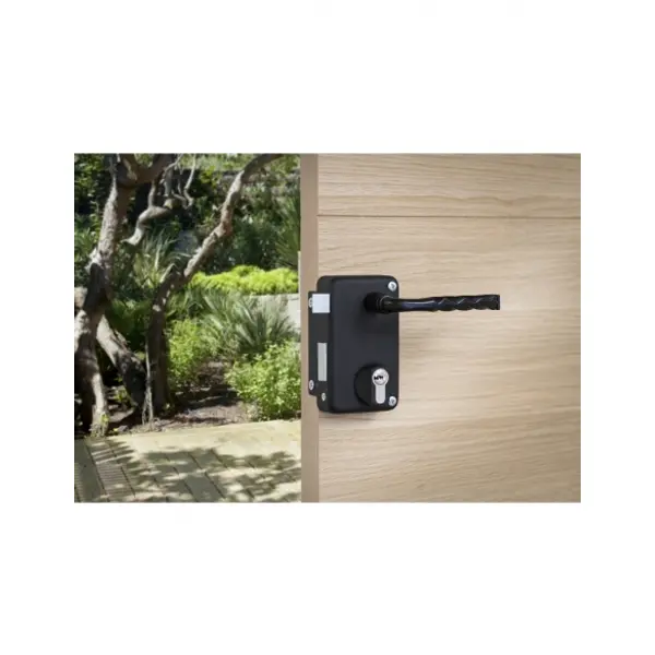 Boitier de serrure verticale en applique double entrée à fouillot pour entrée, gauche, axe 45mm, 75x130mm, noir - THIRARD