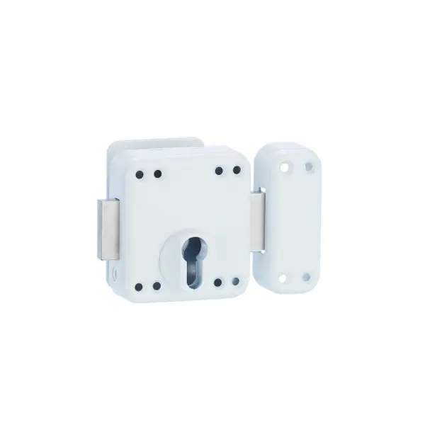 Boitier de verrou double entrée Rafale pour porte d'entrée à cylindre, acier, epoxy blanc - THIRARD