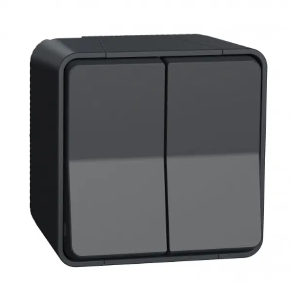 MUR35022 Schneider Mureva Styl - Double va et vient - saillie - IP55 - IK08 - complet