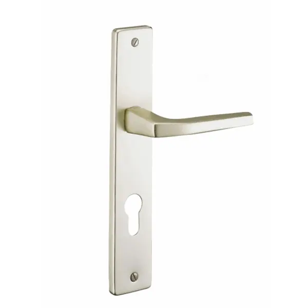 Ensemble de poignées pour porte d'entrée Picardie trou de cylindre, carré 8mm, entr'axes 195mm, couleur champagne - THIRARD