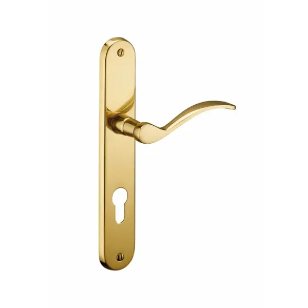 Ensemble de poignées pour porte d'entrée Marianne trou de cylindre, carré 7mm, entr'axes 195mm, laiton poli - THIRARD