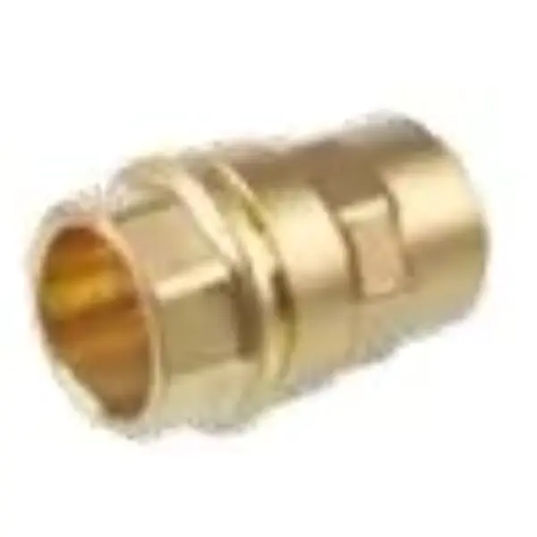 RACCORD FEMELLE T115- 25 X 1'' 561255