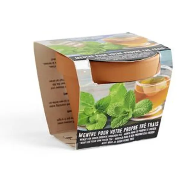 Pot terre cuite culture menthe avec graines et terreau H8.5cm