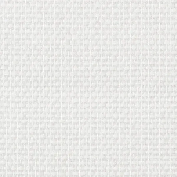 Fibre de verre 100g - 25 m