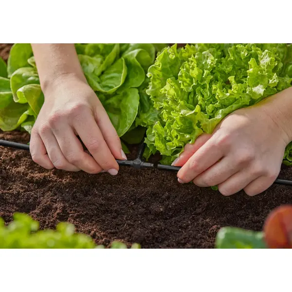 Dérivations en T pour tuyau à goutteurs incorporés 4,6 mm - Boîte de 5 pièces - GARDENA