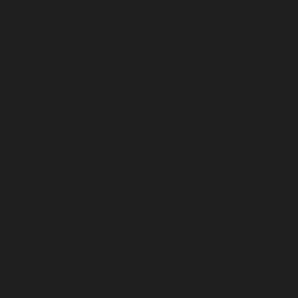 Peinture exterieure bois Ultra protect SYNTILOR noir satine 2.5l - SYNTILOR