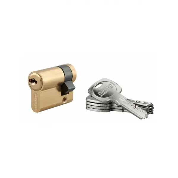 Demi-cylindre de serrure Trafic 6, 30x10mm, anti-arrachement, anti-perçage, laiton, 5 clés - THIRARD