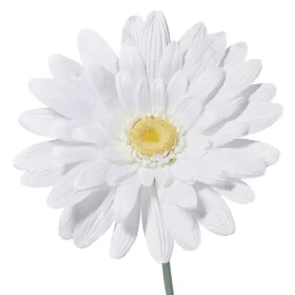 Fleur artificielle blanche marguerite tige XXL H150cm