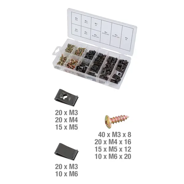Assortiment de vis et d'écrous cage, 170 pcs