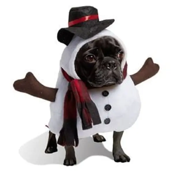 Déguisement bonhomme de neige pour chien