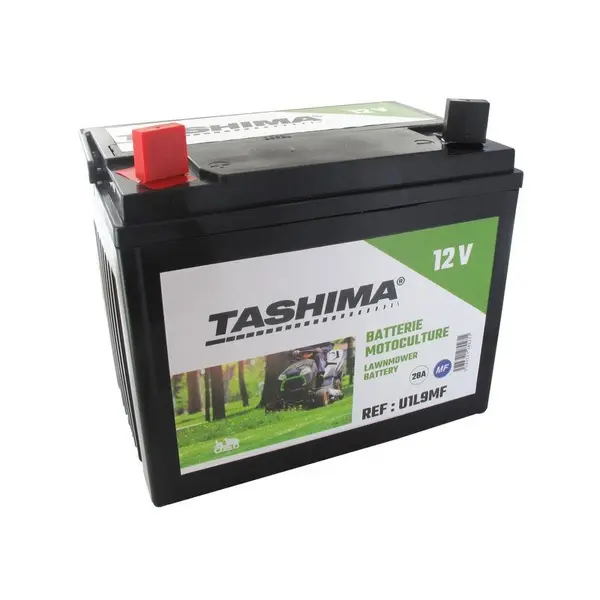 Batterie gel F1 12V 28 AH + à gauche - TASHIMA