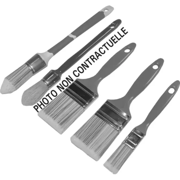 Kit de 5 pinceaux toutes peintures