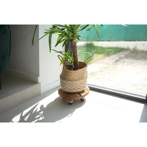 Roule plante BOIS rond naturel - 30 cm - Bois - Louis Moulin