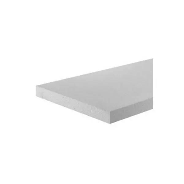 Panneau polystyrène expansé 1,2 x0,6 m Ép. 20 mm