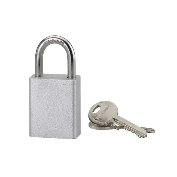 Cadenas à clé Cobble, extérieur, anse inox, 38mm, 2 clés - THIRARD