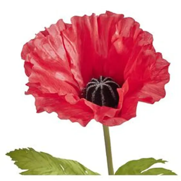 Fleur artificielle coquelicot rouge tige XXL H115cm