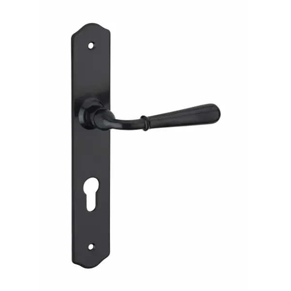 Ensemble de poignées pour porte d'entrée Charon trou de cylindre, carré 7mm, entr'axes 195mm, acier patiné - THIRARD