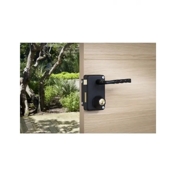 Serrure verticale en applique double entrée à tirage pour porte d'entrée, gauche, axe 45mm, 75x130mm, noir, 3 clés - THIRARD