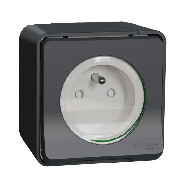 Mureva Styl - Prise courant 2P+T - saillie - IP55 - IK08 - connexion auto - gris - Schneider Electric - MUR35031