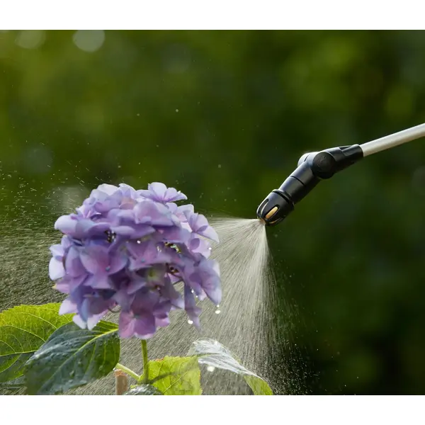 Pulvérisateur à pression préalable Plus 5L - GARDENA